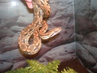 /album/galerie/p8311282-jpg1/